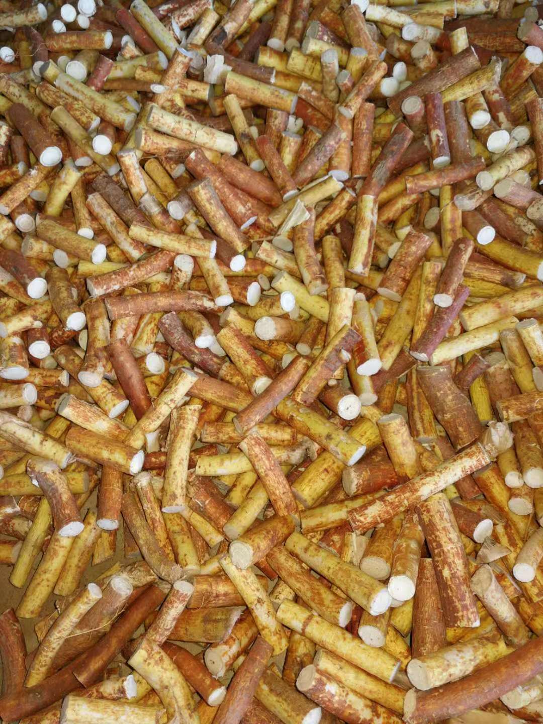 五指毛桃價格-廠家