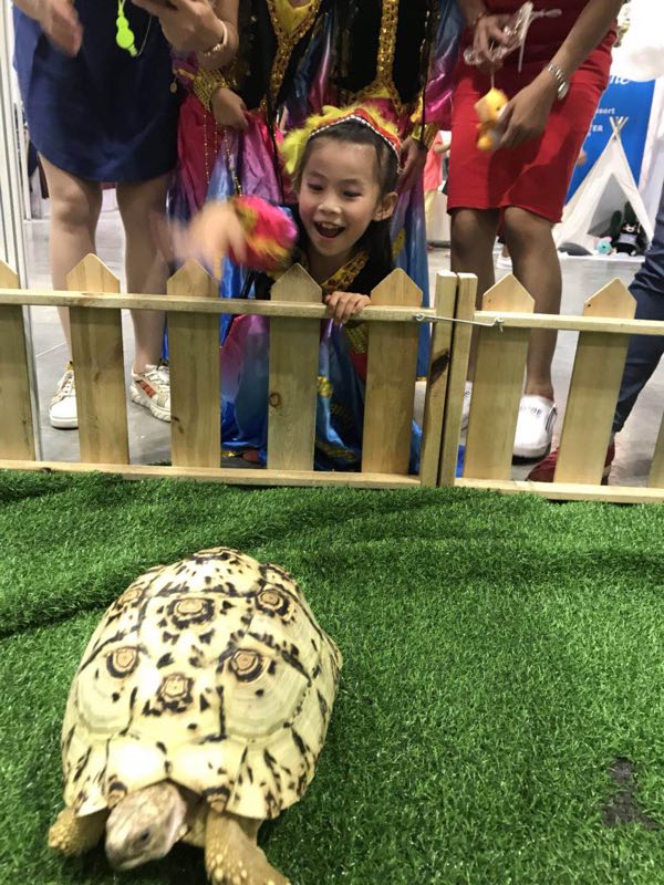 越南大米*龜| 越南花米*龜|養(yǎng)殖基地|產(chǎn)地直銷|批發(fā)價格|供應(yīng)報價|產(chǎn)品圖片