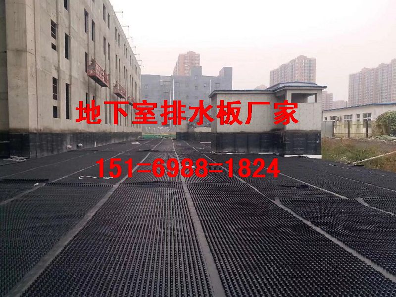 滁州車(chē)庫(kù)種植排水板%%合肥車(chē)庫(kù)濾水板{推薦廠家}