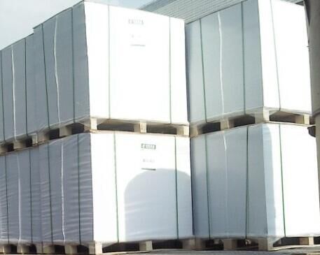 地龍雙膠紙道林紙?jiān)嚲頃z版紙