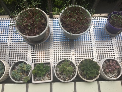 定制2mm 304不銹鋼沖孔板穿孔鐵板圓孔網(wǎng)廠家報(bào)價(jià)