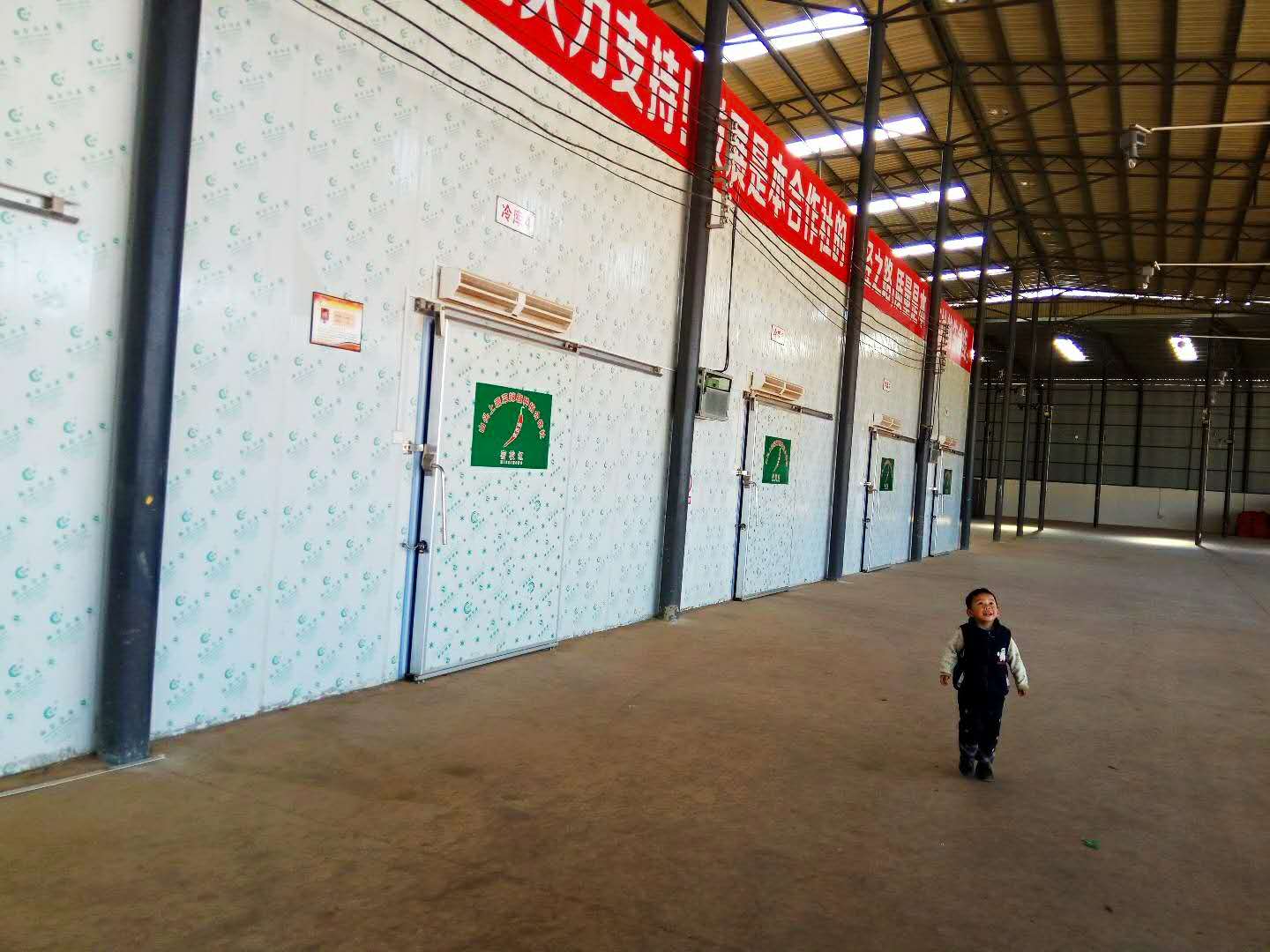 云南蔬菜保鮮冷庫_蔬菜保鮮庫多少錢一平方_蔬菜保鮮庫安裝_蔬菜保鮮庫價格_蔬菜保鮮庫廠家