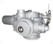 電動裝置DZW350，Z350閥門電動裝置，ZC350驅動裝置ZW350電頭