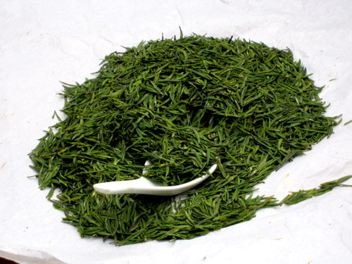 樂昌綠茶*春茶 明前茶葉加工紅茶廠家