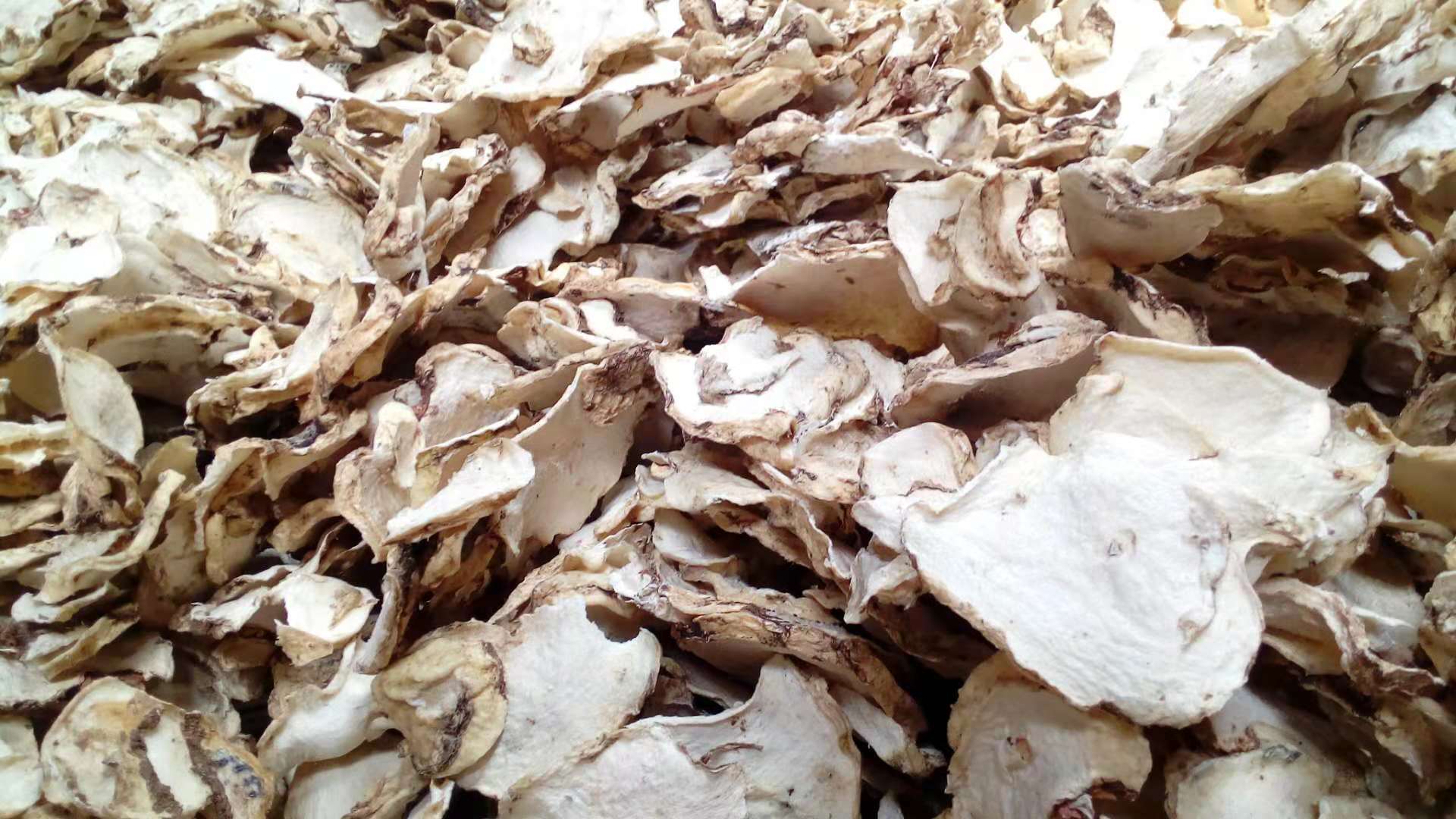 廠家直銷魔芋干片