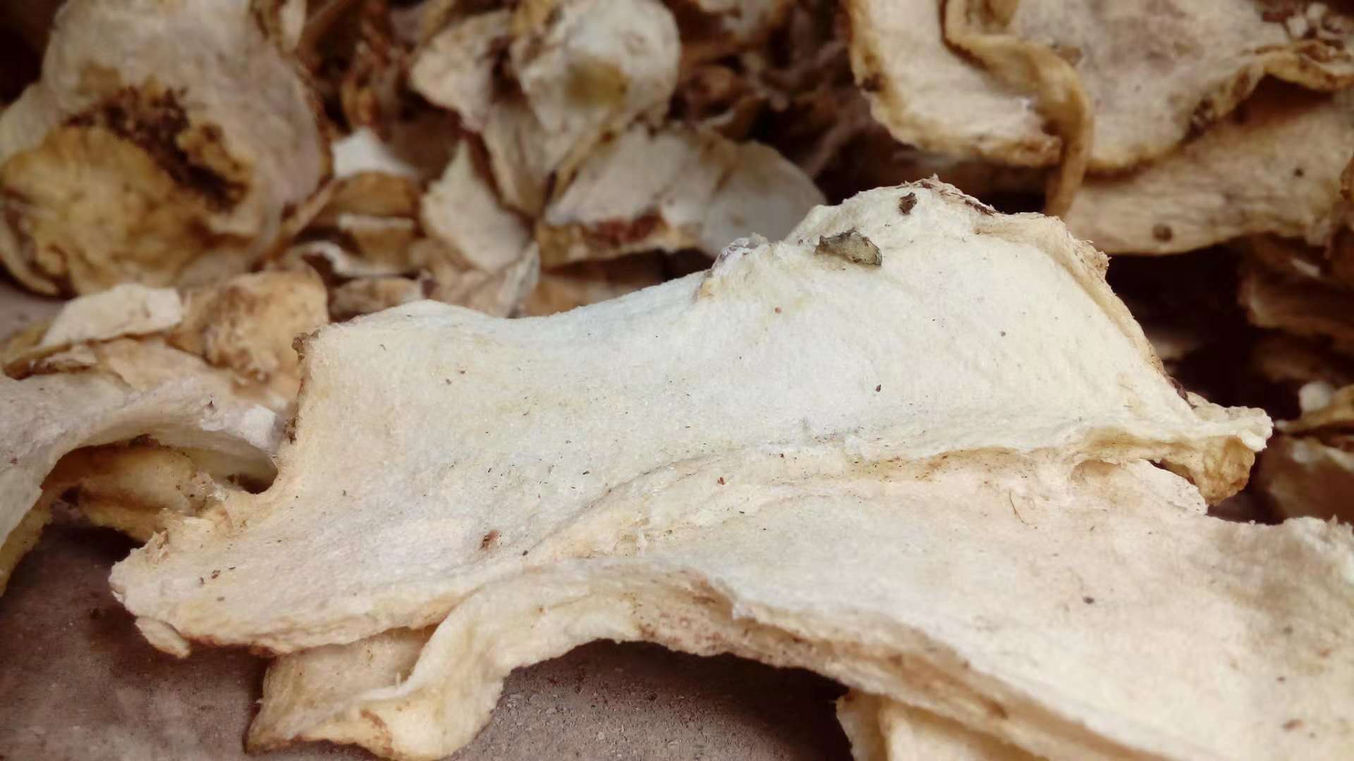 廠家直銷魔芋干片