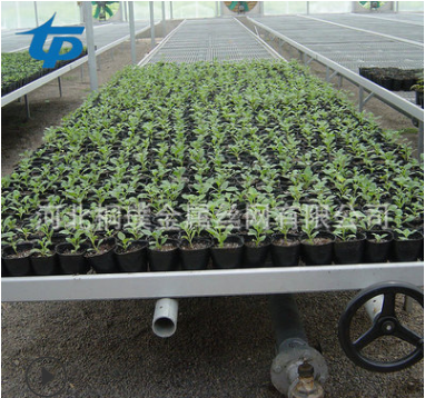 花卉苗床廠家直銷  多肉植物苗床 花卉養(yǎng)殖花架移動苗床網(wǎng) 多肉養(yǎng)殖育苗 花卉苗床經(jīng)銷商價格