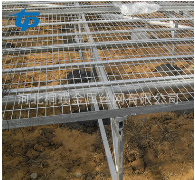 移動(dòng)苗床批發(fā)，河北移動(dòng)苗床批發(fā)，移動(dòng)苗床價(jià)格，移動(dòng)苗床廠家，衡水移動(dòng)苗床廠家