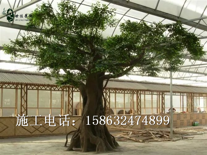 室內(nèi)榕樹假樹