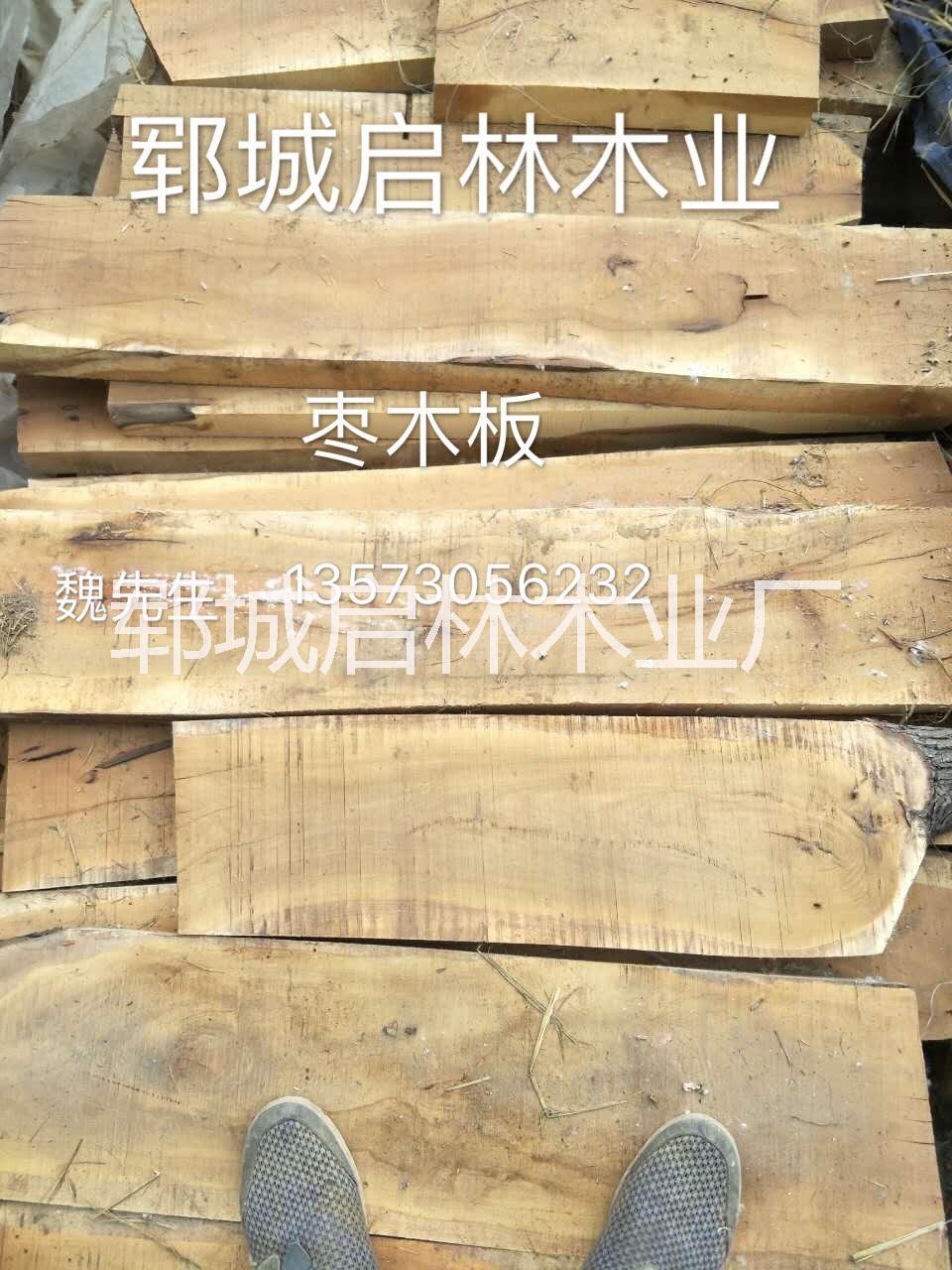 大量出售棗木原木