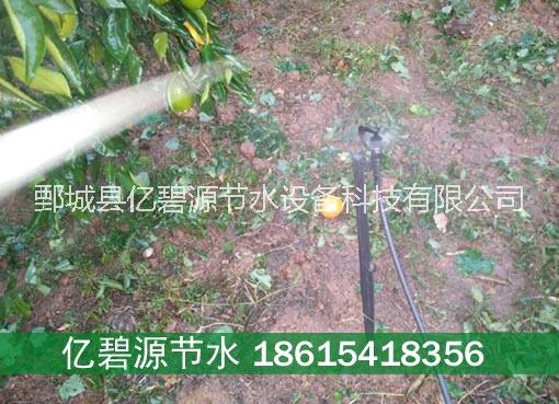 四川蓬溪縣砂糖桔果樹滴灌滴灌水帶軟帶pe外絲三通多少錢