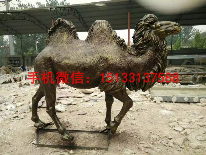 玻璃鋼仿真駱駝雕塑 動(dòng)物雕塑  玻璃鋼仿真駱駝雕塑 動(dòng)物雕塑  玻璃鋼雕塑廠家