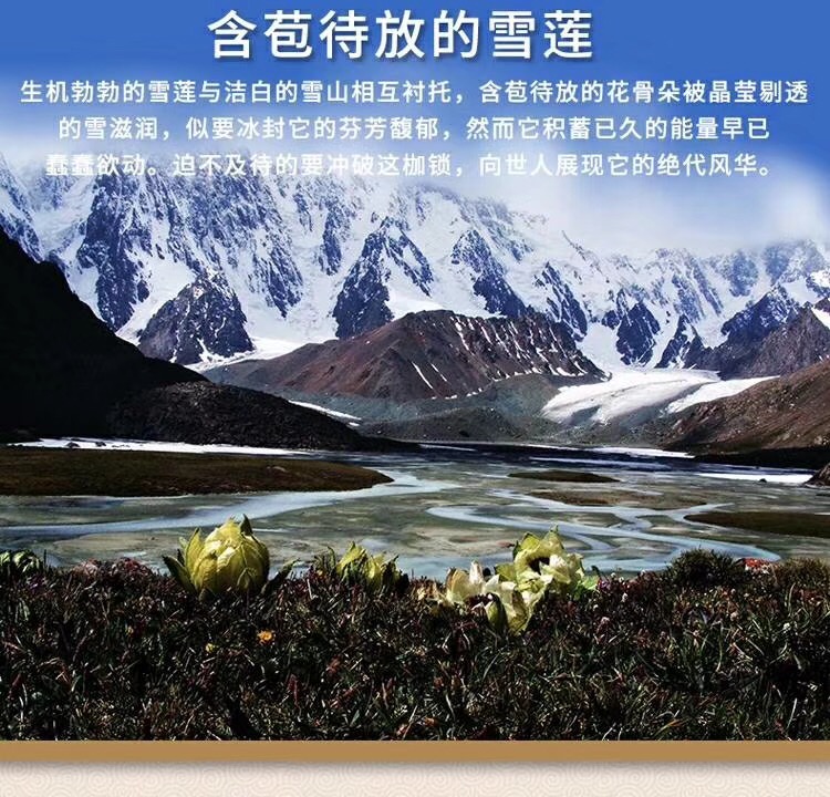 新疆精河紅枸杞王免洗紅枸杞子  枸杞子新疆特產(chǎn)  紅枸杞王 新疆精黑枸杞王 新疆精黑枸杞王價(jià)格