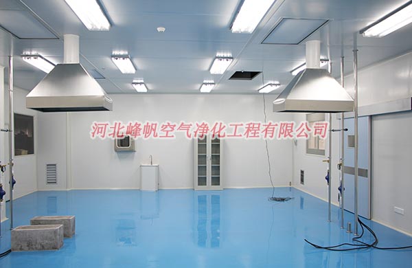 河北凈化廠房裝修 無塵車間,凈化車間設(shè)計方案石家莊 保定 邢臺 廊坊 衡水