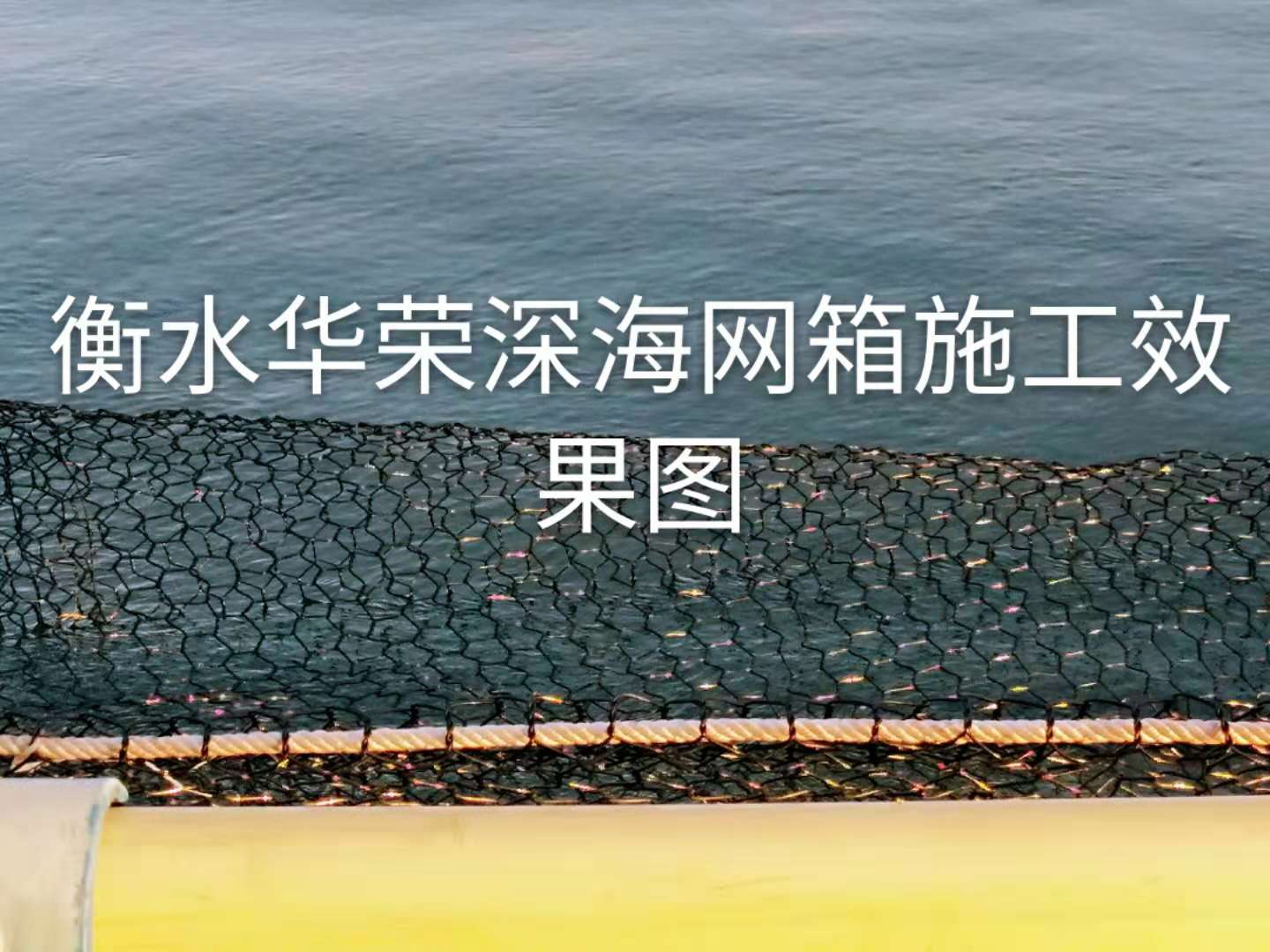 pet單絲漁網(wǎng)，pet漁網(wǎng)
