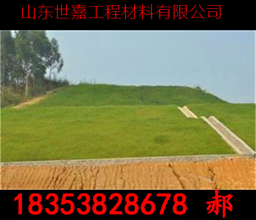 椰絲毯廠家 椰絲毯綠化護(hù)坡 生態(tài)毯廠家價(jià)格 植生毯價(jià)格