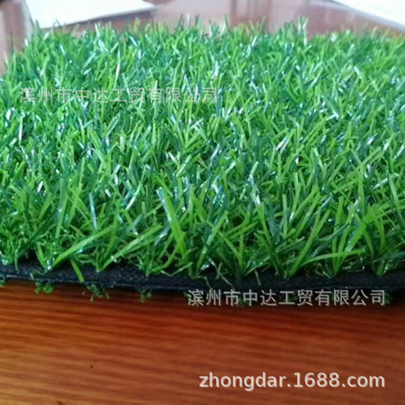 仿真草坪廠家 山東仿真草坪廠家 山東仿真草坪廠家直銷 山東仿真草坪供應(yīng)商電話 山東仿真草坪哪家好 仿真草坪電話