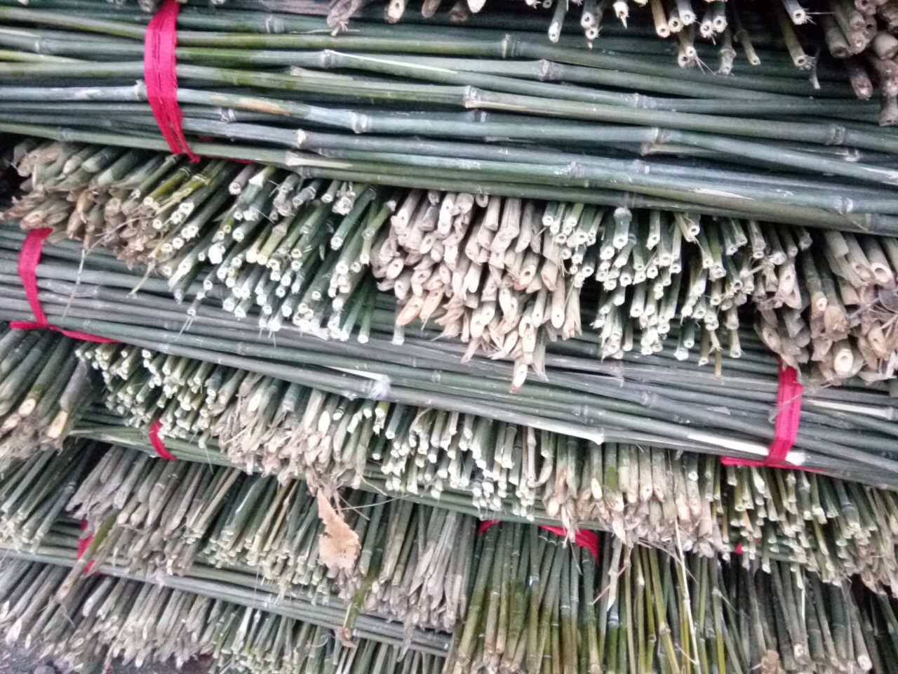 苗木支撐竹竿基地批發(fā)  綠化苗木支撐竹竿廠家 綠化苗木支撐竹竿供應(yīng)商  綠化苗木 苗木支撐竹竿基地批發(fā)