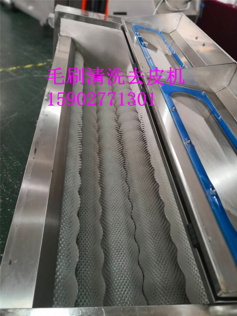 武漢 2m毛刷清洗機(jī)，臘肉豬腿清洗機(jī)，蓮藕土豆清洗去皮去泥機(jī)
