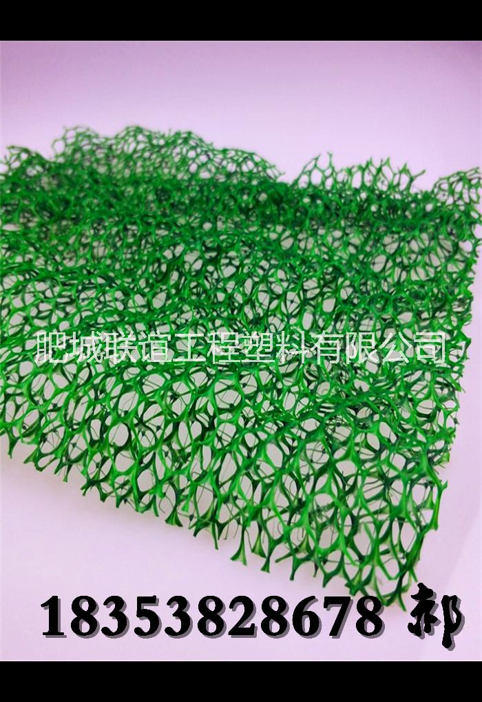 三維植被網(wǎng)廠家`三維復(fù)合網(wǎng)價(jià)格 三維網(wǎng)廠家三維網(wǎng)環(huán)保