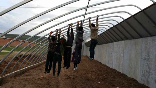 廠家專業(yè)直銷幾字鋼骨架 大棚骨架定做 溫室大棚鋼管加工生產(chǎn) 溫室大棚骨架