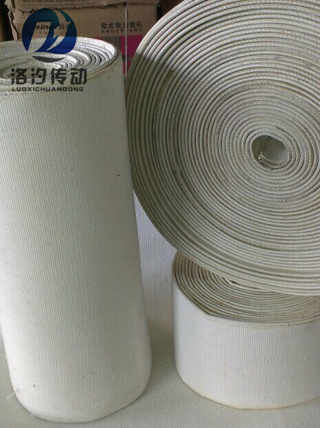 滌棉帆布輸送帶