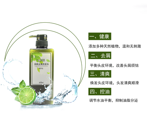 止癢去屑洗發(fā)水貼牌OEM洗發(fā)露代加工廣州