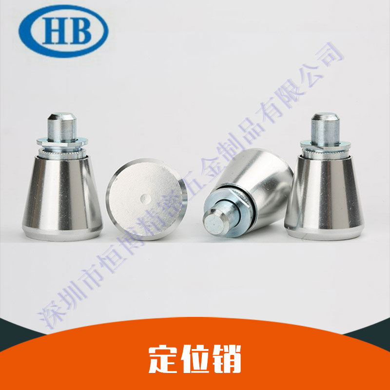 供應(yīng)不銹鋼圓柱銷 定位銷 壓鉚定位銷廠家優(yōu)惠價大量批發(fā)