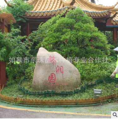 景觀樹(shù)木 景觀樹(shù)木報(bào)價(jià) 景觀樹(shù)木批發(fā) 景觀樹(shù)木供應(yīng)商 景觀樹(shù)木哪家好 景觀樹(shù)木電話