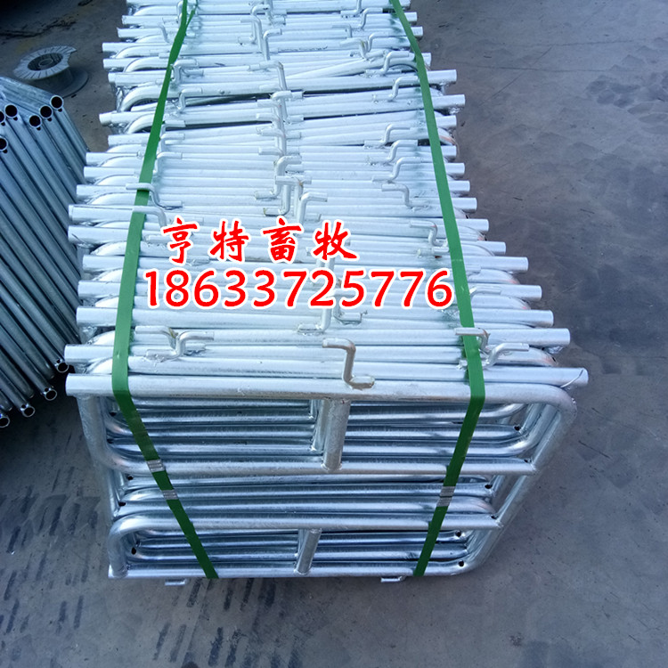 養(yǎng)豬定位欄歐式前后門豬床復(fù)合漏糞板養(yǎng)豬設(shè)備廠家發(fā)貨