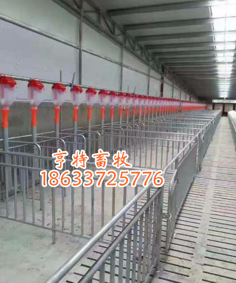 養(yǎng)豬定位欄歐式前后門豬床復(fù)合漏糞板養(yǎng)豬設(shè)備廠家發(fā)貨