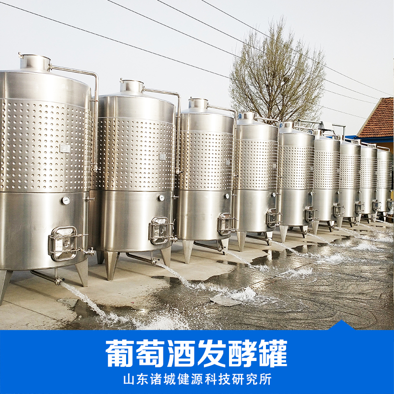 葡萄酒發(fā)酵罐設(shè)備直銷 葡萄酒發(fā)酵罐哪家好