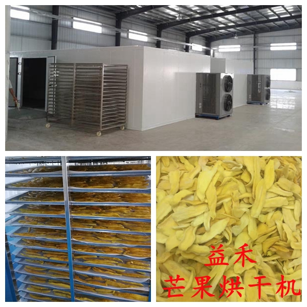 新式芒果干烘干機 芒果烘干機價格