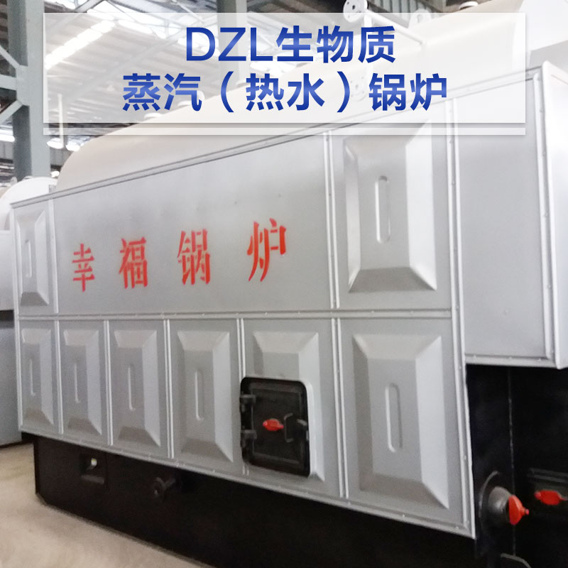 青島DZG生物質(zhì)蒸汽鍋爐 生物質(zhì)熱水鍋爐  蒸汽鍋爐廠家 燃生物質(zhì)鍋爐