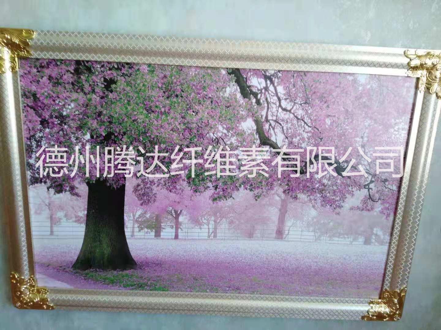 石墨烯碳纖維電暖畫