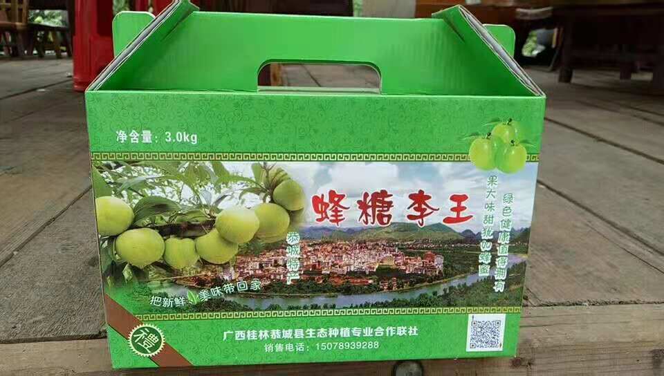 廣西桂林蜂糖李苗批發(fā)價(jià)格-廣西桂林蜂糖李子苗基地廠家-三華李公司