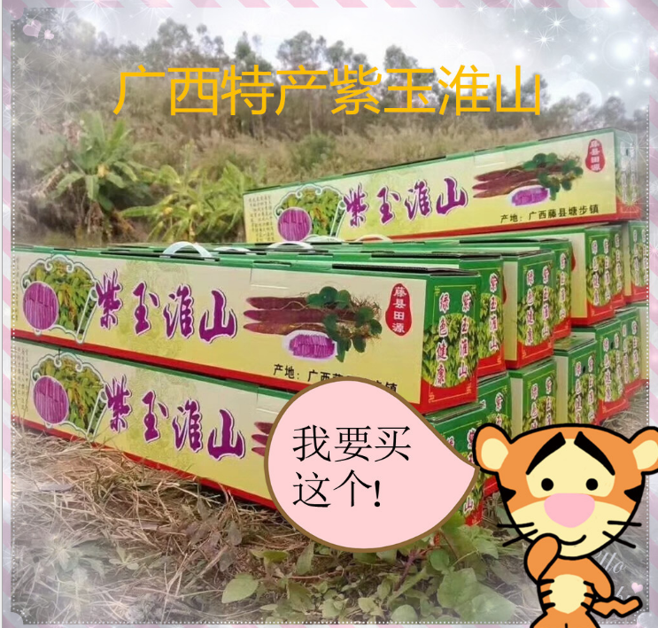 廣西特產紫玉淮山-廣西特產紫山藥廠家批發(fā)