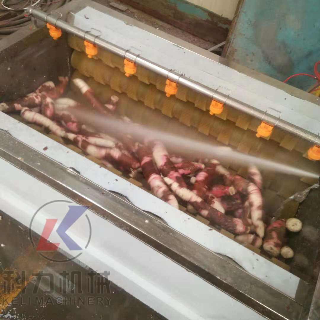 土豆地瓜毛輥去皮機(jī)根莖類(lèi)果蔬藥材清洗機(jī)