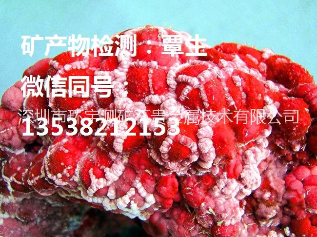 專業(yè)礦產(chǎn)物檢測(cè)