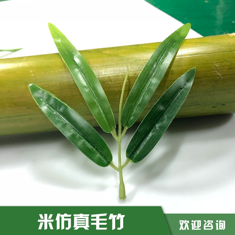 米仿真毛竹 米仿真毛竹的價(jià)格 仿真植物盆栽 仿真竹子竹葉 仿真植物 廠家直銷  品質(zhì)保障