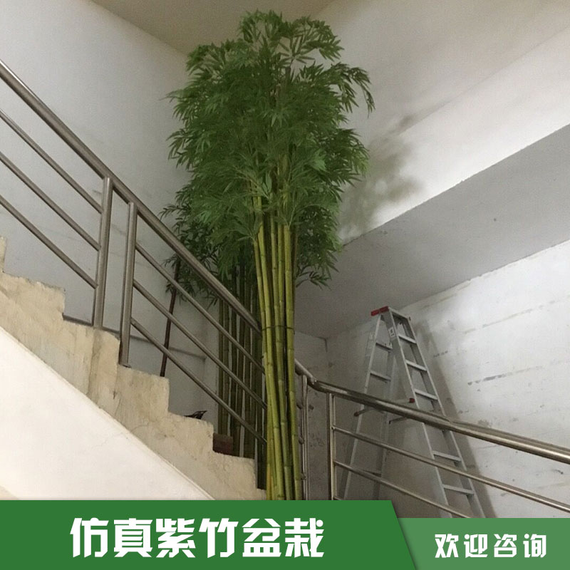 仿真紫竹盆景 東莞市仿真紫竹子盆景價(jià)格 廣州市仿真紫竹子盆景廠家 深圳仿真紫竹子盆景供應(yīng)商