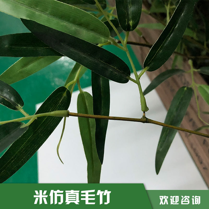 米仿真毛竹 米仿真毛竹的價(jià)格 仿真植物盆栽 仿真竹子竹葉 仿真植物 廠家直銷  品質(zhì)保障
