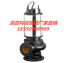 濱嘉科技集團(tuán)廠家直銷JYWQ型自動攪勻潛水排污泵