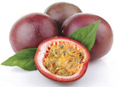 優(yōu)質(zhì)百香果*線價(jià)格 貴州百香果*線供應(yīng)商 廣西百香果基地 百香果線批發(fā)商報(bào)價(jià)