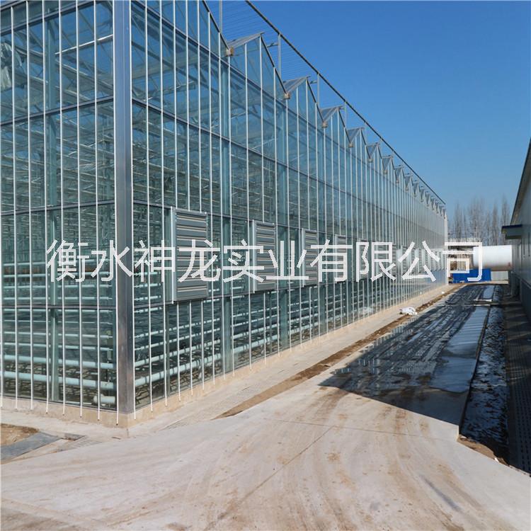 衡水神龍廠家直銷(xiāo)優(yōu)質(zhì)耐力板