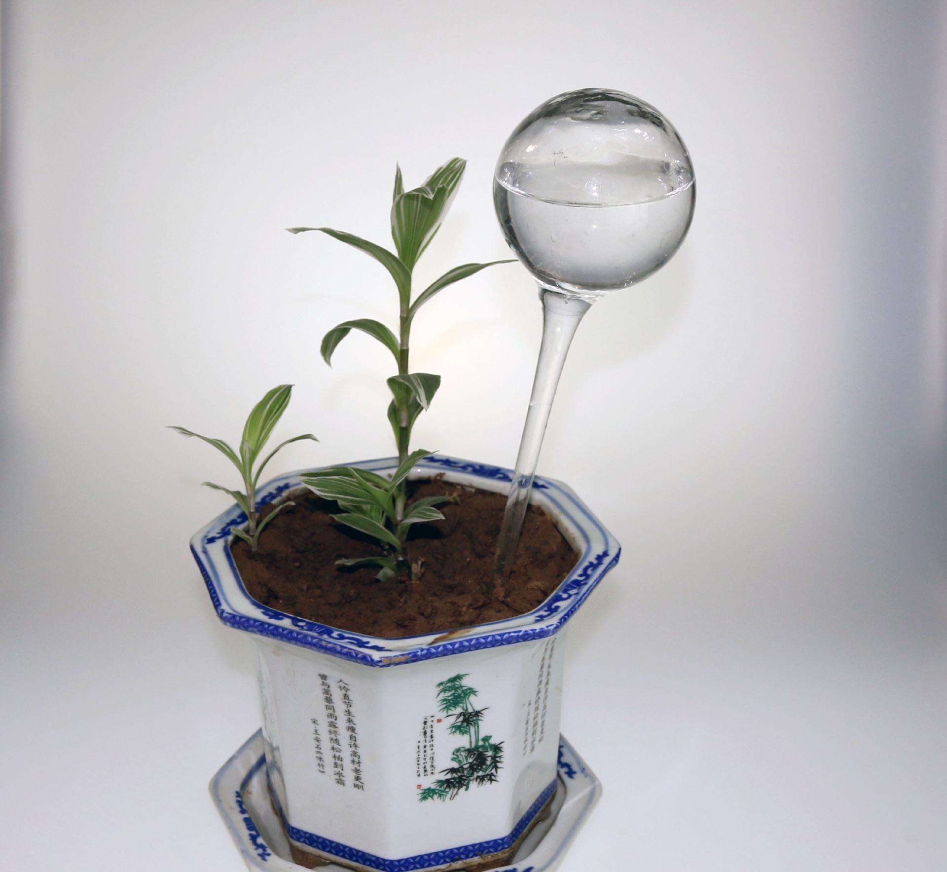 玻璃蝸牛澆花器