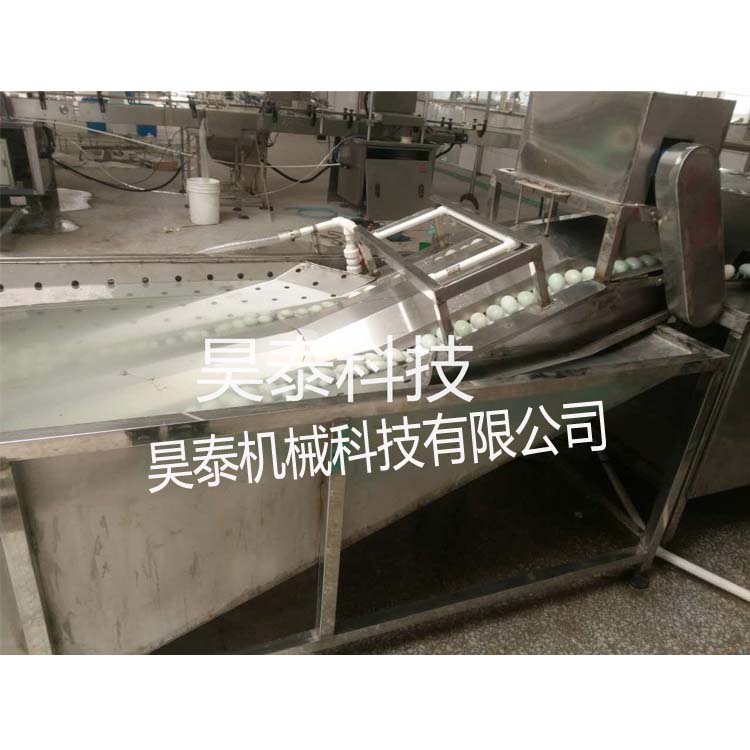 鴨蛋清洗機 HTXD-P2 大型全自動節(jié)能洗蛋機