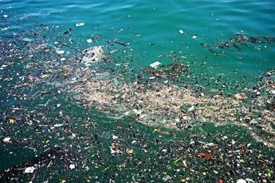 BVS智能視頻分析-智慧水利解決