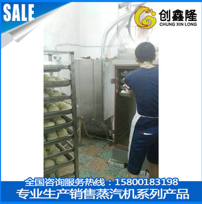 廠家直銷燃?xì)庹麴z頭*蒸汽鍋爐