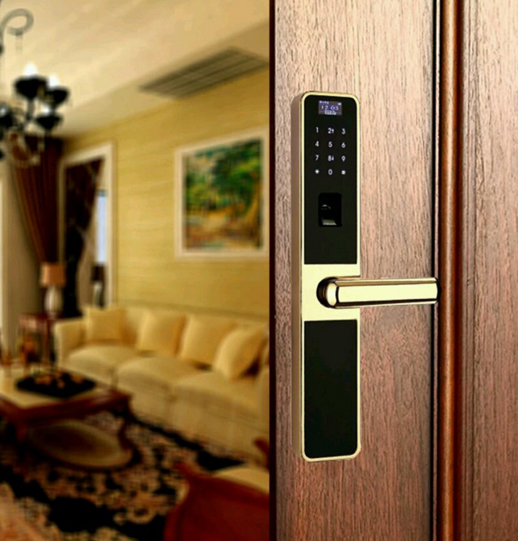 王力指紋鎖 家用防盜門鎖 王力智能門鎖 王力*智能鎖